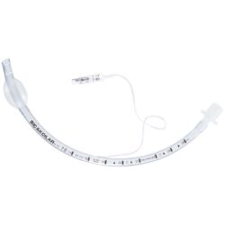 Tracheal Tube Cuffed