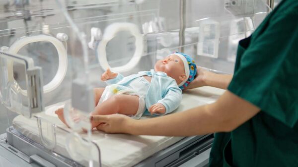 B2 Infant Incubator - Image 2